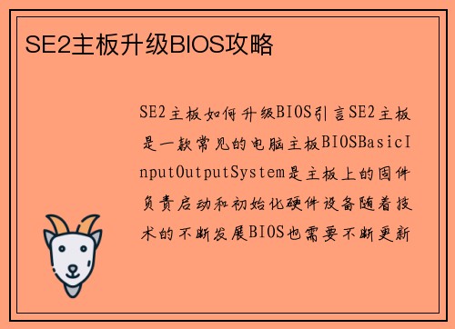SE2主板升级BIOS攻略